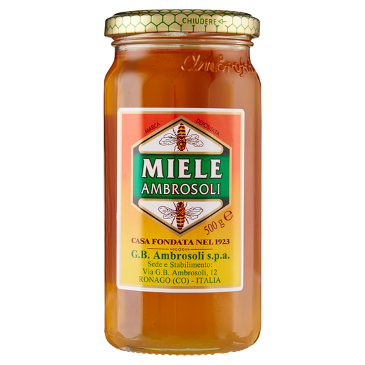 AMBROSOLI MIELE RAFFINATO 500g (6 in a box)