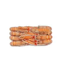 WHOLE SCAMPI 8-12  1 KG BAG FROZEN  12 KG BOX