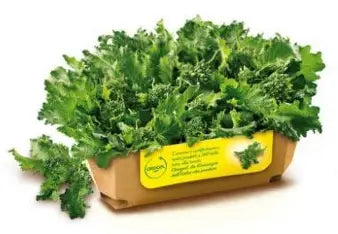 FRIJARIELLI  LEAFS LEAFS  FROZEN 1 KG BAG (5 KG BOX)