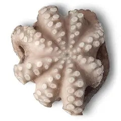 PORTOGUESE FROZEN OCTOPUS 1-2 KG  PER KG