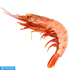 ARGENTINIAN RED PRAWNS 10/20 FROZEN ON BOARD  X2KG  BLOCK
